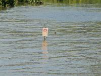 Natchez underwater