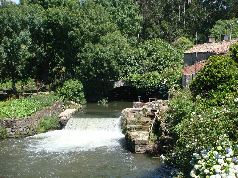 Serene riverside